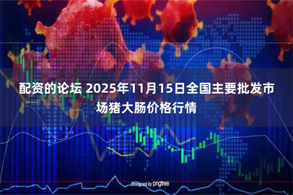 配资的论坛 2025年11月15日全国主要批发市场猪大肠价格行情