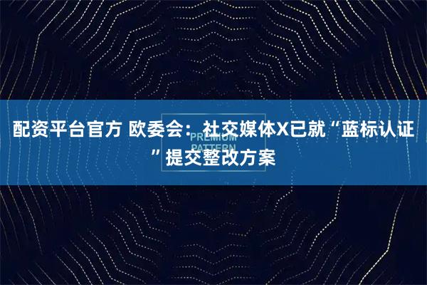 配资平台官方 欧委会：社交媒体X已就“蓝标认证”提交整改方案